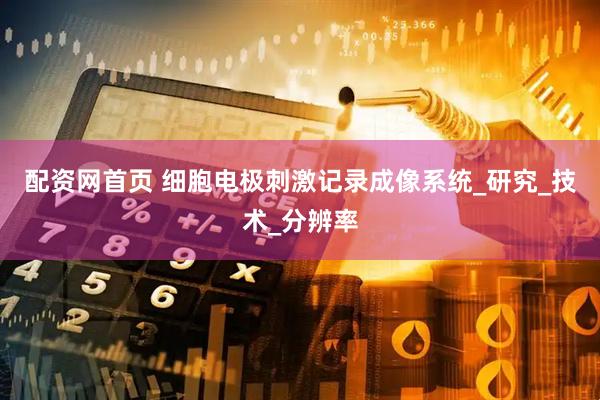 配资网首页 细胞电极刺激记录成像系统_研究_技术_分辨率