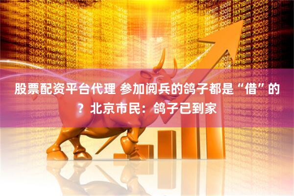 股票配资平台代理 参加阅兵的鸽子都是“借”的？北京市民：鸽子已到家